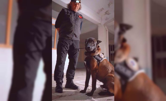 Isparta’nın narkotik kahramanı Milon, üçüncü kez ’ayın köpeği’ seçildi