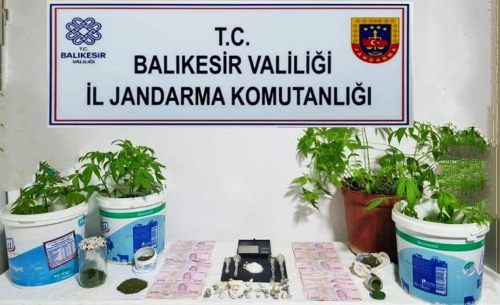 Jandarma’dan 6 ilçede uyuşturucu operasyonu