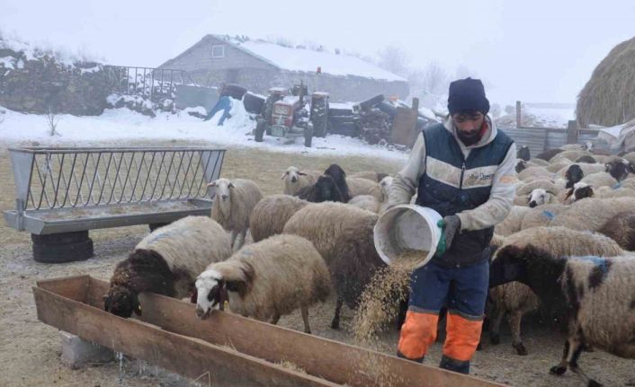 Kars’ta küçükbaş hayvancılık yapanlar çoban bulmakta zorluk çekiyor