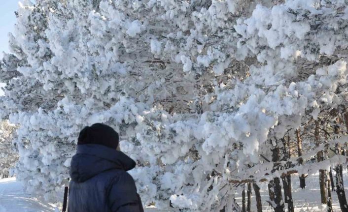 Kars’ta soğuk hava etkisini gösterdi