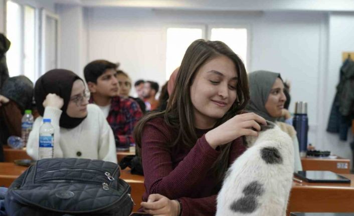 ‘Labne’ fakültede öğrencilerle derslere giriyor