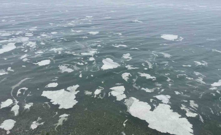 Mudanya’yı müsilaj sardı, deniz beyaz tabakayla örtüldü