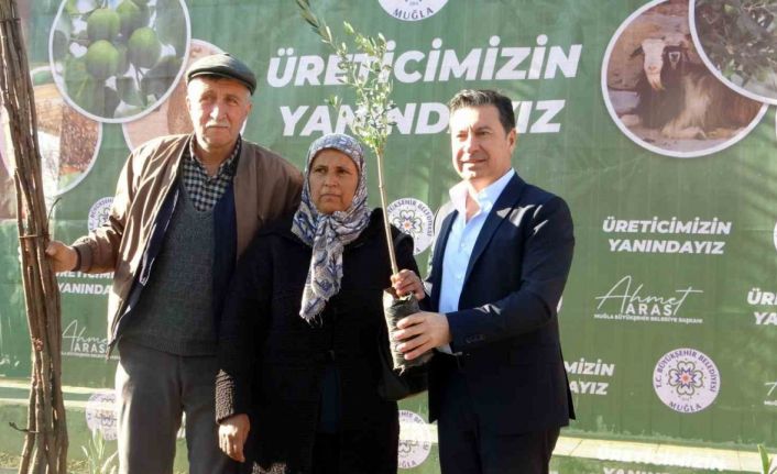 Muğla Büyükşehir Belediyesi 110 bin fidan dağıttı