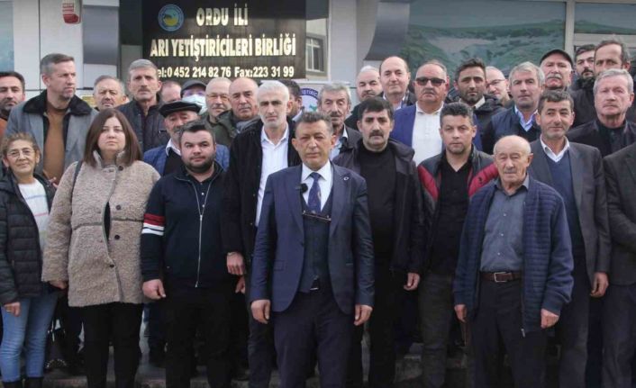 Mustafa Yılmaz, Ordu Arıcılar Birliği’ne adaylığını açıkladı