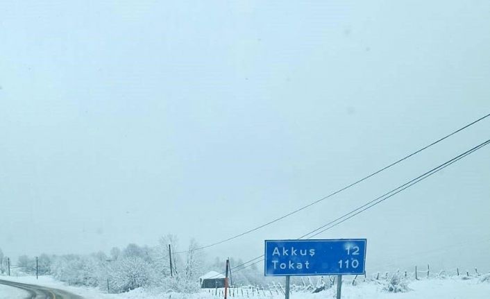 Ordu’nun yüksek kesimlerinde kar yağışı