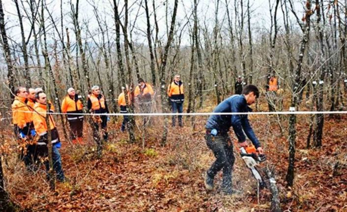 Orman köylüsü endüstriyel odundan 698 milyon TL kazandı