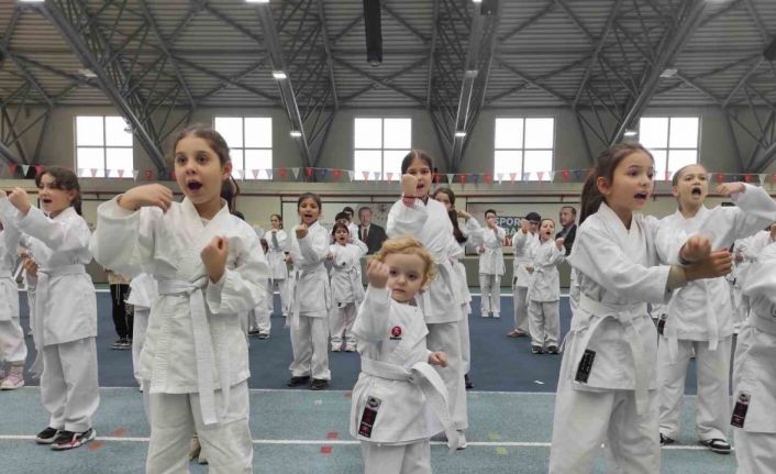 Osmangazi’de karate eğitim semineri