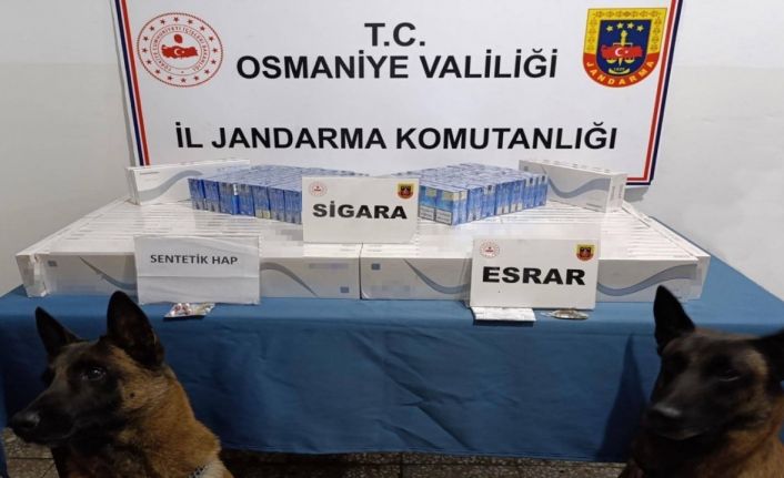 Osmaniye’de jandarma son bir haftada 107 kişi yakalandı