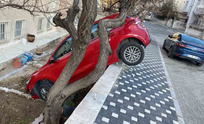 Otomobilini park ederken bahçeye düştü: 1 yaralı