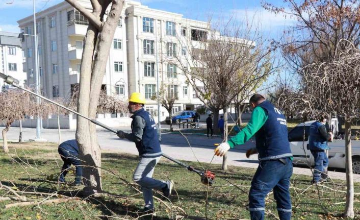 Park ve sokaklarda peyzaj çalışmaları devam ediyor