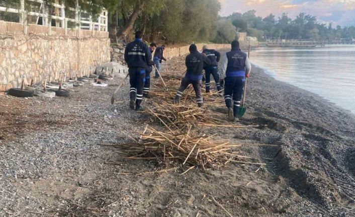 Rodos’un pisliği Datça’yı vurdu