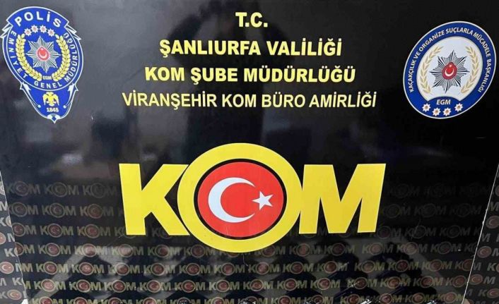 Şanlıurfa’da silah kaçaklığında 4 tutuklama