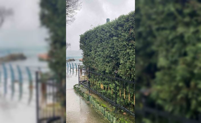 Sarıyer’de ilginç olay kamerada: Kafasını kapatıp kafenin önündeki lambaları kırdı