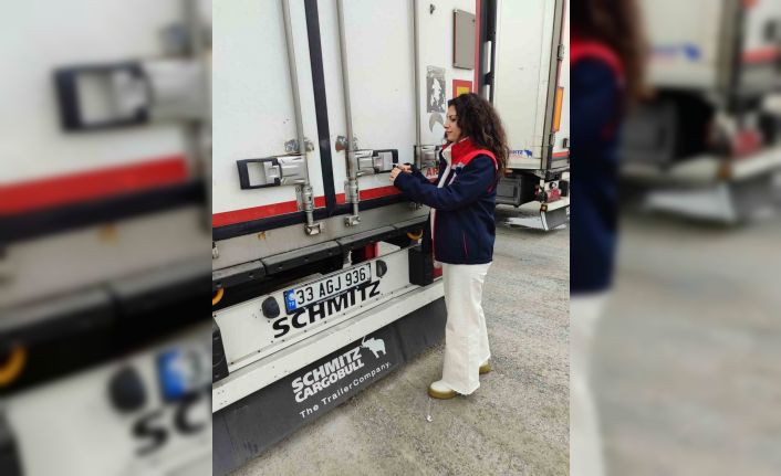 Söke’nin balıkları, Rusya ve İtalya yolcusu