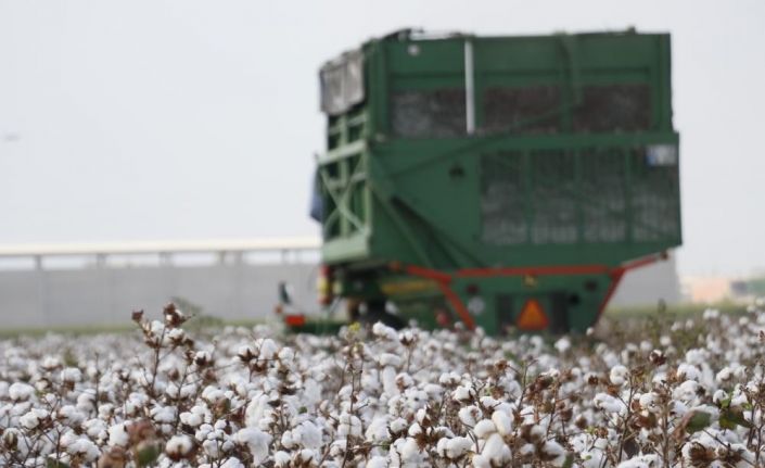 Söke’nin tarımsal kayıtlılık oranı dikkat çekti