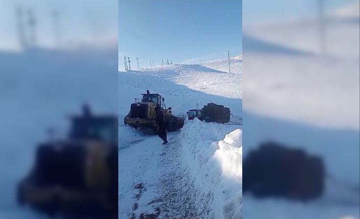Tekman’da ot yüklü traktör iş makinası desteğiyle kurtarıldı