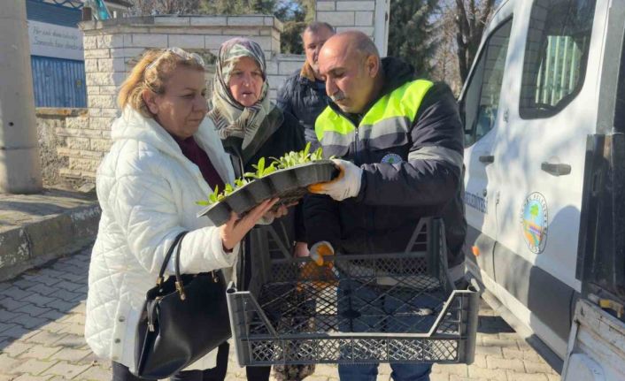 Turhal’da 3 bin 500 çiçek kabirlerle buluştu