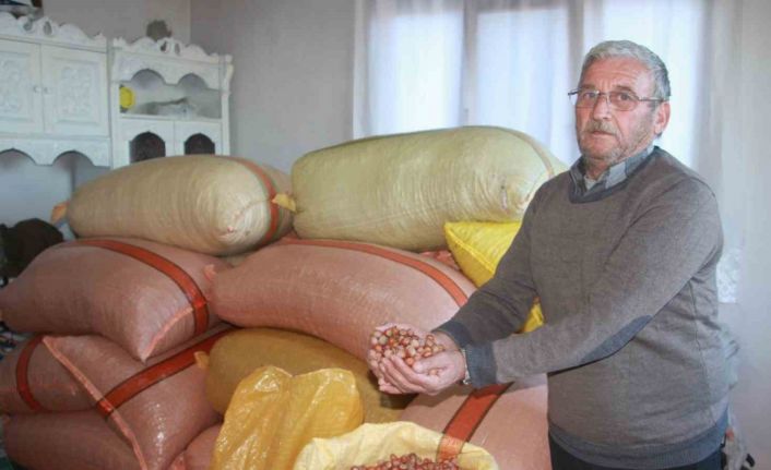 Türkiye fındığının yüzde 15’i üreticinin evinde