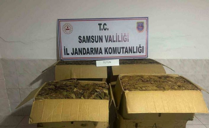 Tütün hırsızı jandarma tarafından yakalandı