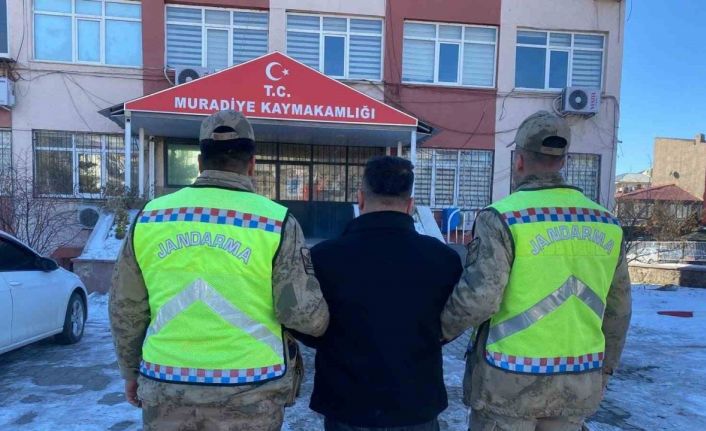 Van’da 10 düzensiz göçmen yakalandı