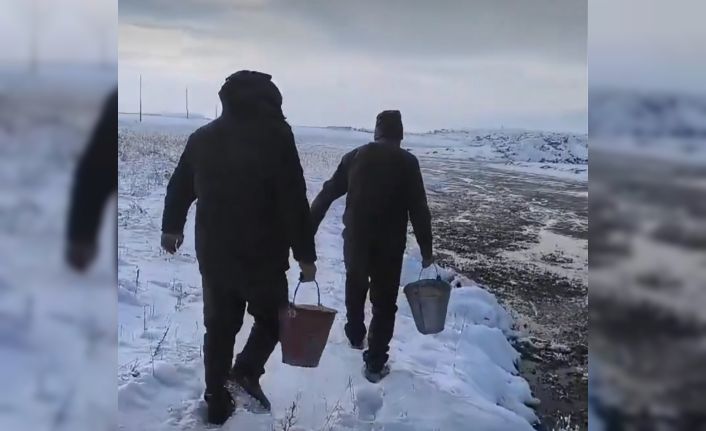 Van’da yaban hayvanları için doğaya yem bırakıldı