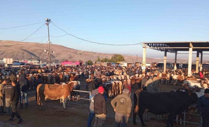 Yozgat’ta üç ilçede hayvan pazarları geçici olarak kapatıldı