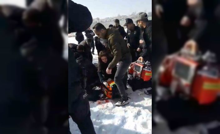 Yüksekova’da başıboş köpekler dehşet saçtı: 12 yaşındaki kız ağır yaralandı