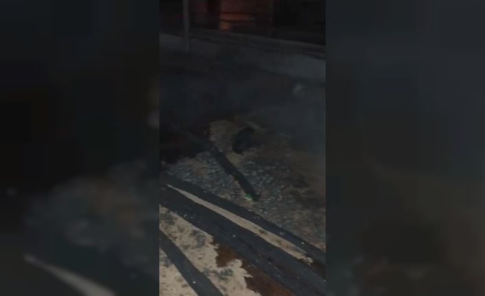 Ahırda çıkan yangın söndürüldü