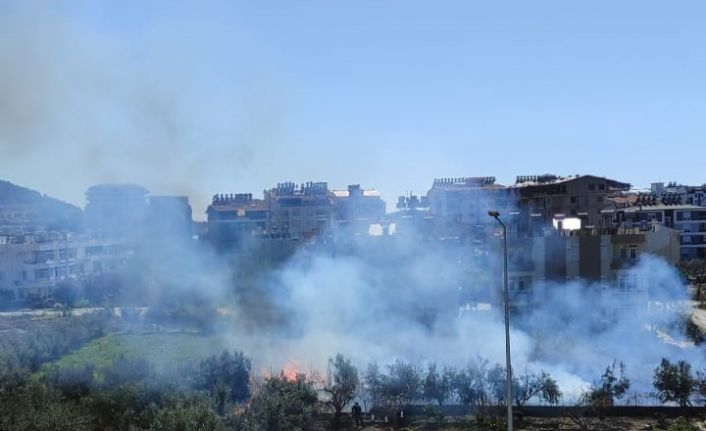 Antalya’da sazlık alandaki yangın kontrol altına alındı