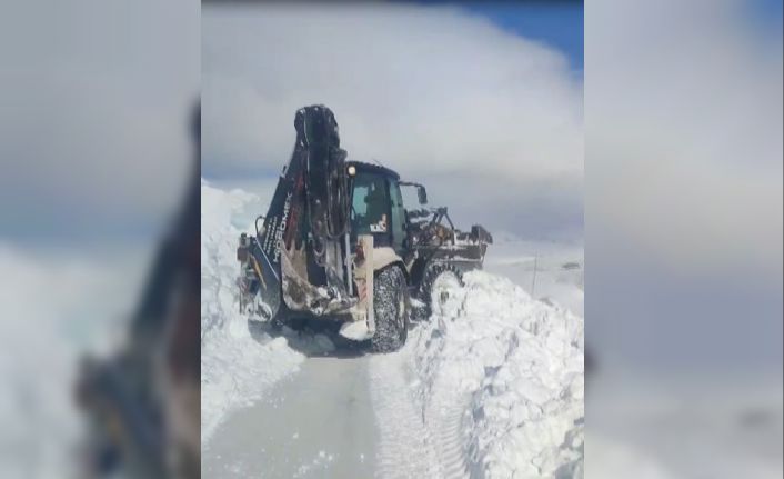 Ardahan’da köy yoluna çığ düştü