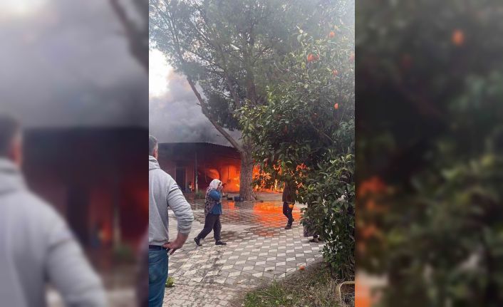 Arı ürünleri deposunda yangın