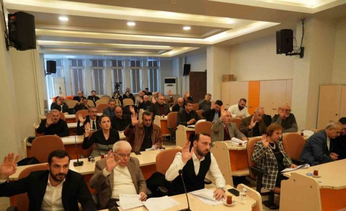 Atakum Meclisinde gündem ‘hayvan barınağı’