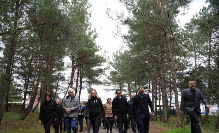 Bilim adamlarından ‘Sigara Bırakma Günü’ yürüyüşü