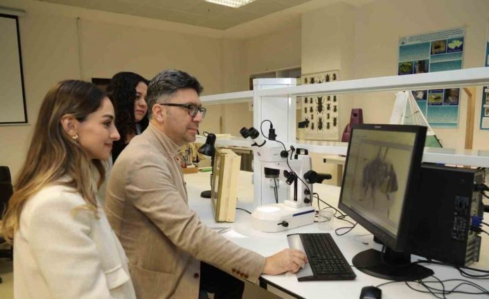 BTÜ Uludağ ormanlarındaki arıların tür çeşitliliğini belirleyecek