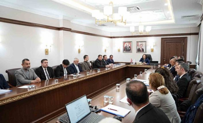 Burdur Valisi Bilgihan: "Kısırlaştırılan ve küpelenen hayvanlar artık sokaklara bırakılmayacak"