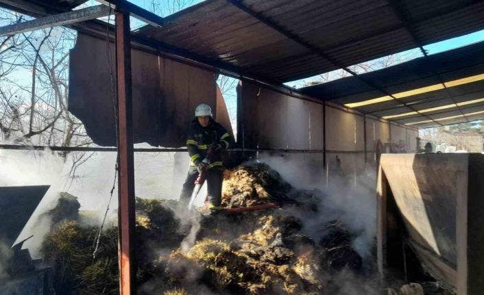 Burdur’da çıkan yangında 100 saman balyası yandı