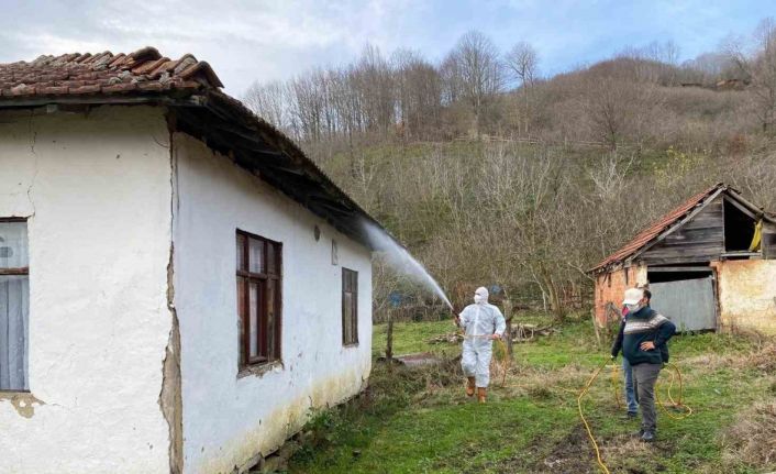 Çiftçinin korkulu rüyası ile mücadele ediliyor