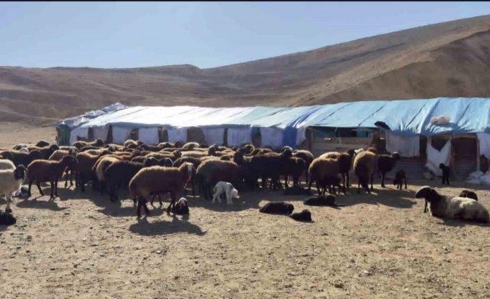 Elazığ’da karantina uygulanan 3 ilçede ekiplerin çalışmaları sürüyor
