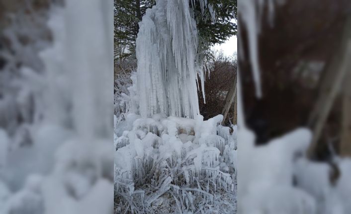 Gediz’de ağaçlarda buz sarkıtları oluştu