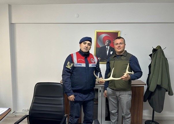 Geyik boynuzu satan şahıs jandarma tarafından yakalandı