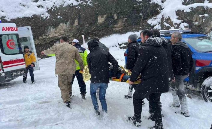 Gümüşhane’de dereye yuvarlanan kamyonetteki 5 kişi yaralandı