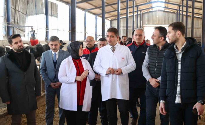 Hedef hayvan varlığını arttırmak