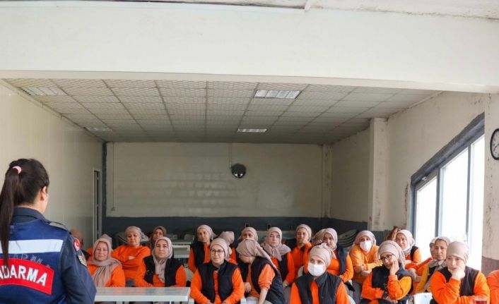 Jandarma ekiplerinden Sivrihisar ilçesinde seminer