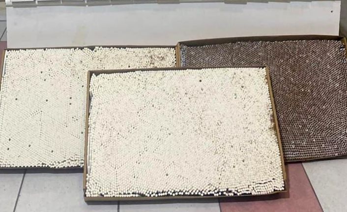 Kırıkkale’de 46 bin 700 kaçak makaron ele geçirildi