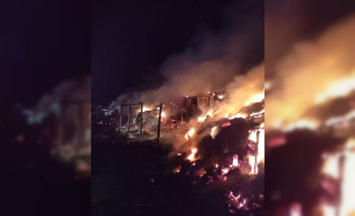 Kırklareli’nde yangın paniği: Ağıl küle döndü