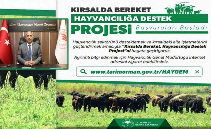 ‘Kırsalda Bereket, Hayvancılığa Destek Proje’ başvuruları başladı