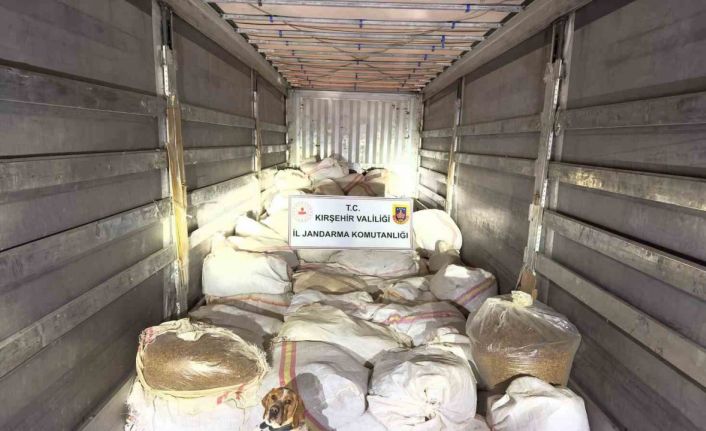Kırşehir’de 3 ton kıyılmış tütünle yakalanan tır sürücüsü tutuklandı