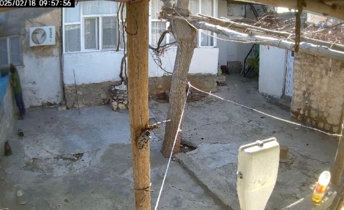 Mardin’de acemi hırsız ev sahibine yakalandı