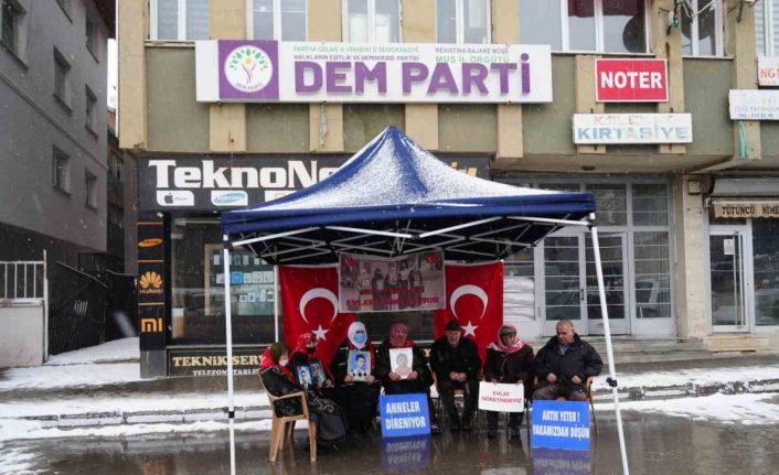 Muş’ta aileler kar altında evlat nöbetine devam ediyor