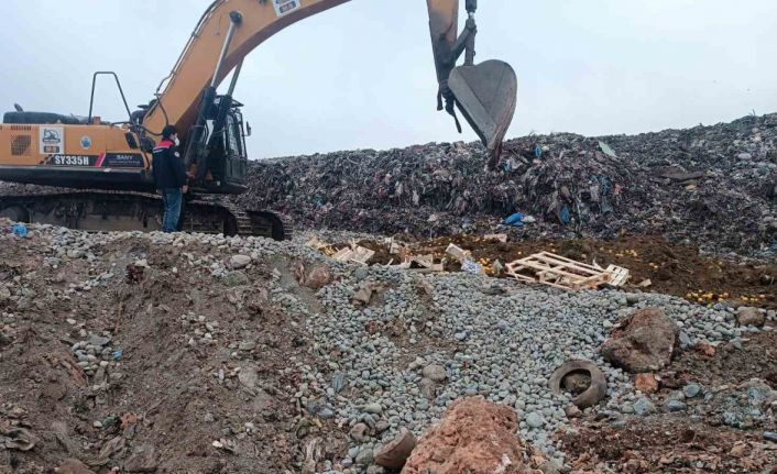 Pestisit kimyasal maddesi tespit edilen 55 ton limon imha edildi
